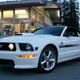 Image for article titled California Dreamin’ November Road Rallying In A Convertible